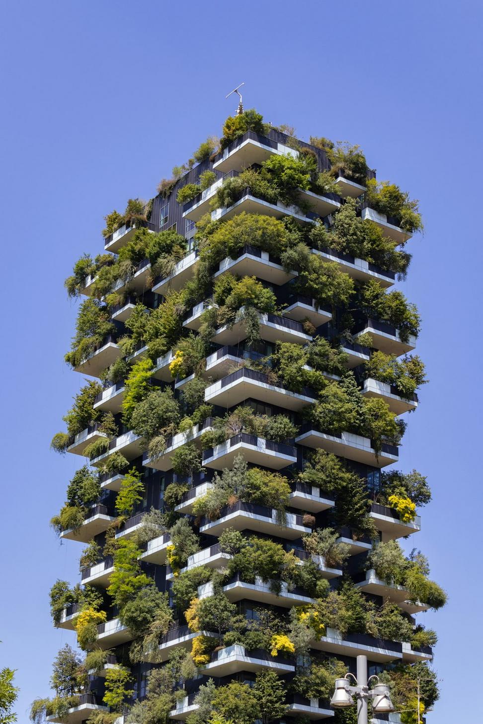 Eco-Friendly Office Building